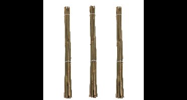 Pro Garden Plantenstokken - 30x - bamboe - H60 cm - plantensteun