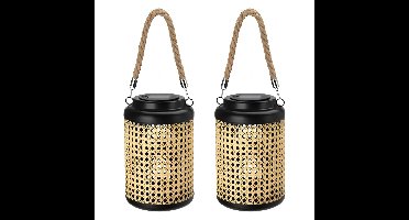 Pro Garden solar lamp - 2x - metaal/kunststof - H23 x 15 cm