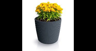 Prosperplast Plantenpot Buckingham - antraciet - D34 cm