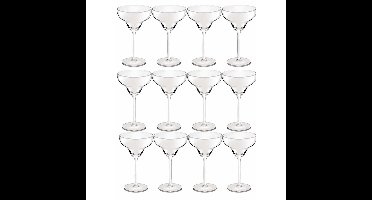 Royal Leerdam Cocktailglazen - 16x - transparant - 300 ml - glas