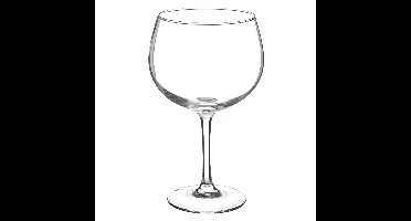 Secret de Gourmet Gin glazen - 4x stuks - 700 ml - transparant