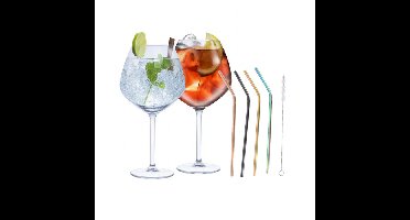 Set van 4x Gin Tonic cocktailglazen met 4x gekleurde rietjes RVS