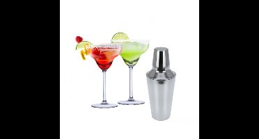 Set van 4x Margarita cocktailglazen met cocktailshaker RVS