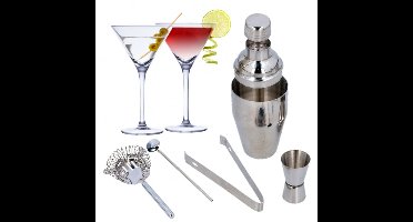 Set van 4x Martini cocktailglazen met luxe 5-delige cocktailshaker set RVS