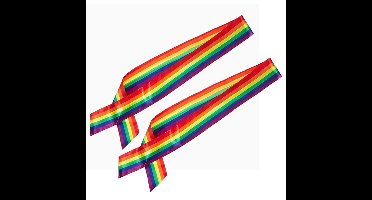 Smiffys Regenboog sjerp volwassenen - 2x - Pride parade - lhbtiqa+