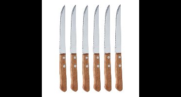 Steakmessen/vleesmessen bestek - 6x stuks - 21 cm - Keuken