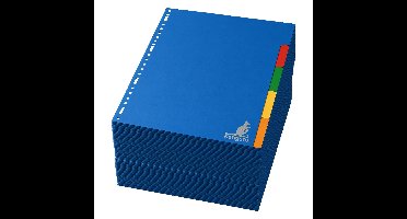 Stylex tabbladen set - 50x stuks - gekleurd - 23 ringen - A4 formaat