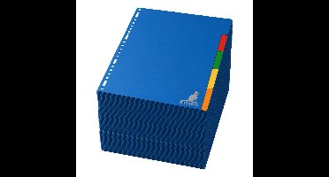Stylex tabbladen set - 60x stuks - gekleurd - 23 ringen - A4 formaat
