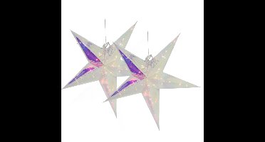 Svenska Living Verlichte kerststerren - 2x - zilver iriserend- 53 cm