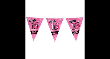 Sweet 16 slingers 10 meter roze - 16e Verjaardag - Vlaggenlijn