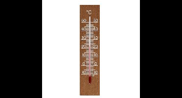 TFA Binnen Thermometer - analoog - eikenhout - naturel - 20 x 5 cm