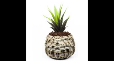 V/d Leeden Planten mand - rond - rotan - riet - D57 x H44 cm - drypot