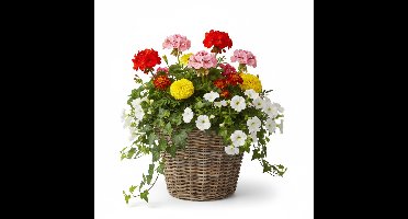 VD Leeden Plantenmand Klassiek - rond - bruin - 45 x 40 cm - rotan