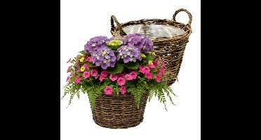 VD Leeden Plantenmand Twijg - 2x - rond - bruin - 40 x 30 cm