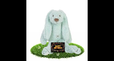 Verjaardag knuffel konijn Richie - mintgroen - 28 cm - met kaart