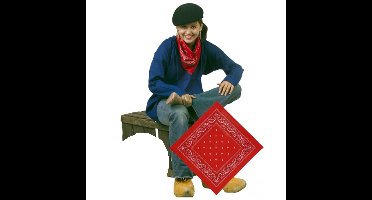 Widman Carnaval verkleed boeren zakdoek - 55 x 55 cm - themafeest