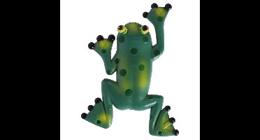 World of Weather thermometer Kikker - zuignappen