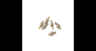 Preston Method Quick Change Bead