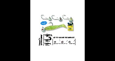 Spro Micro Jig Head #4 3 gr