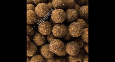Vivani Baits Bombyx Mori 1kg 24 mm