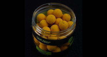 Proline Sweet Maggot & Cream Pop-Ups 15mm 200ml