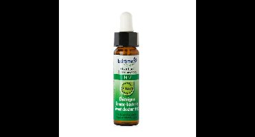 Ladrome Sweet chestnut/tamme kastanje 7 bio