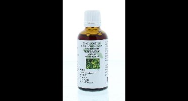 Natura Sanat Hypericum perforatum / sint janskruid tinctuur