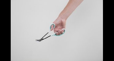 Able 2 Teennagelschaar op lange steel
