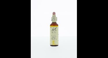 Bach Gorse/gaspeldoorn