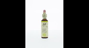 Bach Honeysuckle/kamperfoelie