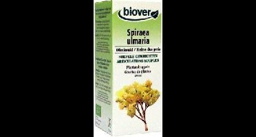 Biover Spiraea ulmaria bio