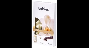 Bolsius True Scents waxmelts vanilla