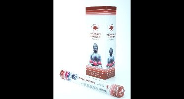 Green Tree Wierook buddha's blessing