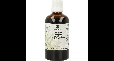 Groene Os Solidago complex paard/pony