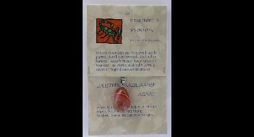 Steengoed Sterrenbeeldhanger schorpioen