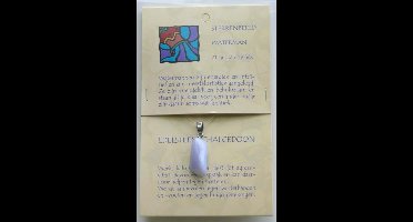 Steengoed Sterrenbeeldsteen hanger waterman