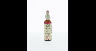 Bach Star of Bethlehem/vogelmelk