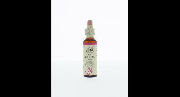 Bach Sweet chestnut/tamme kastanje