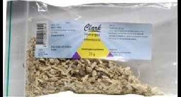 Clark Hydrangea officinalis