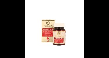 Maharishi Ayurv Ayurvedische ijzerrasayana bio