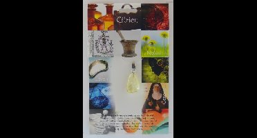 Steengoed Hanger gezondheidssteen citrien