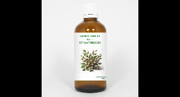 Balancepharma Gemmo simplex 6 betula pubescens