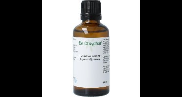 Cruydhof Quassia amara lign tinctuur