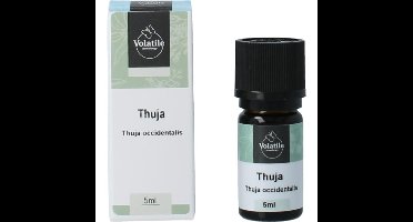 Volatile Thuja