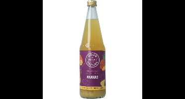 Your Organic Nat Vruchtensap ananas bio