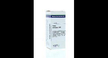 VSM Sabal serrulata LM6