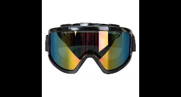 Carnaval verkleed Apres Ski bril - zwart - volwassenen - kunststof - party brillen