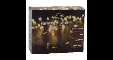 Draadverlichting - cluster - 100 led lampjes - warm wit - 250 cm - clusterverlichting