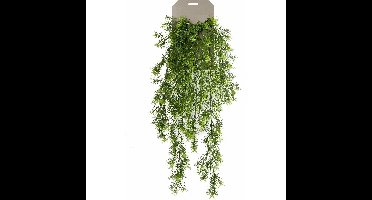 Emerald kunstplant/hangplant - Asparagus - groen - 75 cm lang