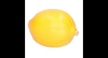 Esschert Design kunstfruit decofruit - citroen/citroenen - ongeveer 6 cm - geel
